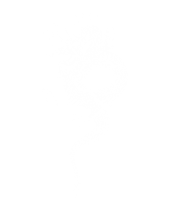 vinilo decorativo dragon chino