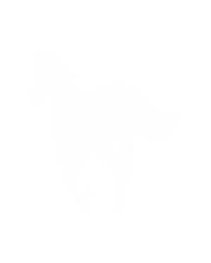 pegatina white pony deftones de vinilo