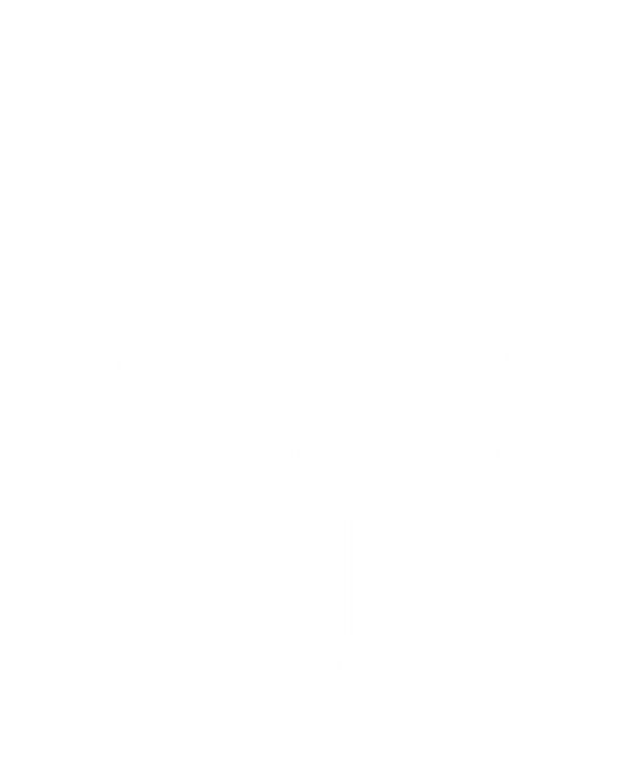 La calavera del Punisher: El símbolo de los matones - Cerosetenta