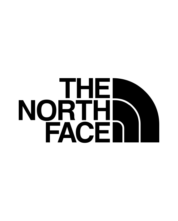 pegatina the north face logo