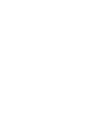 pegatina SAMCRO hijos de la anarquia calavera