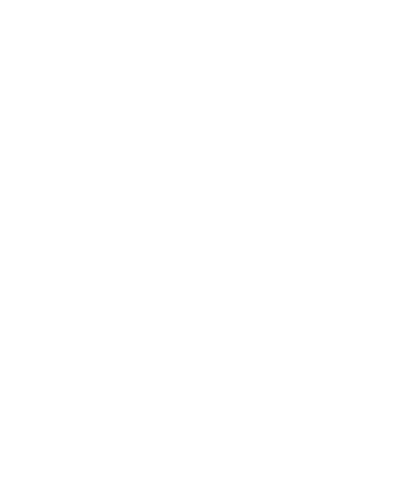 pegatina SAMCRO hijos de la anarquia calavera