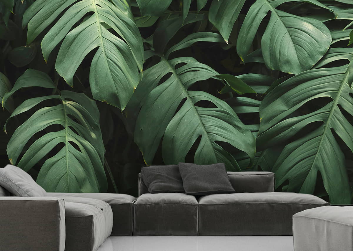 vinilo monstera trextura planta tropical mural 